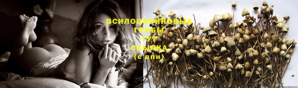 каннабис Магас